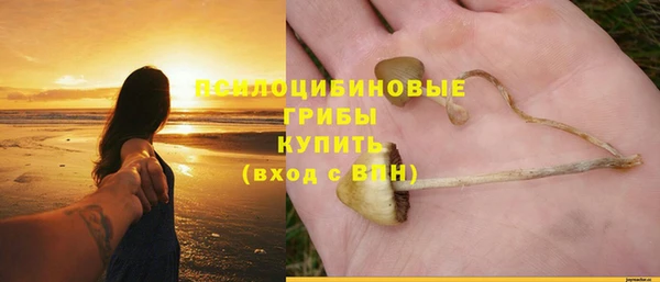 молекула духа Горнозаводск