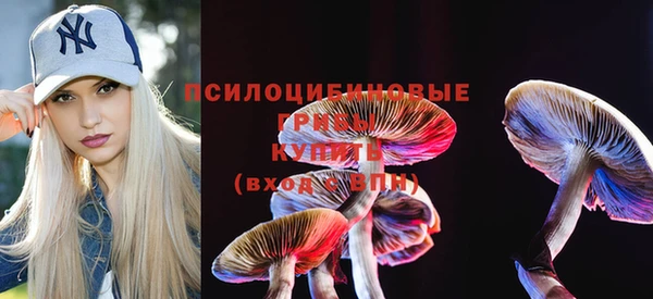 mix Вяземский