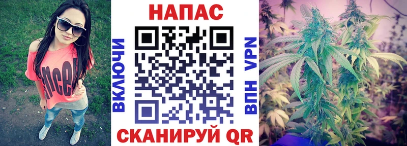 Канабис White Widow  Гаджиево 